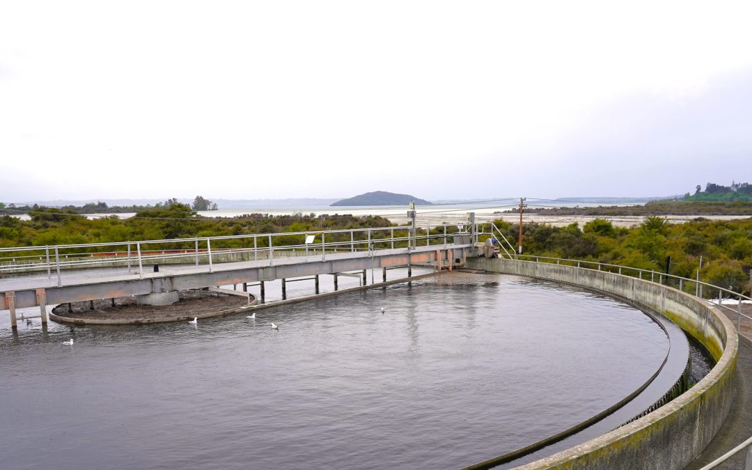 Rotorua Wastewater Services