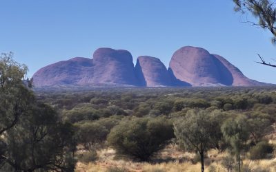 Relief Operators provide vital support to remote NT water operations